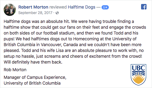 Frisbee dog halftime show review