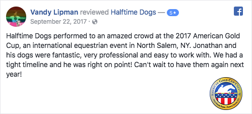 Frisbee dog halftime show review