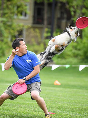Andrew Han, Halftime Dogs performer